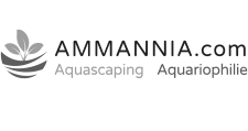 Logo Ammannia